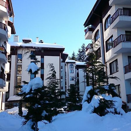 Tes Flora Apartments Borovec Kültér fotó